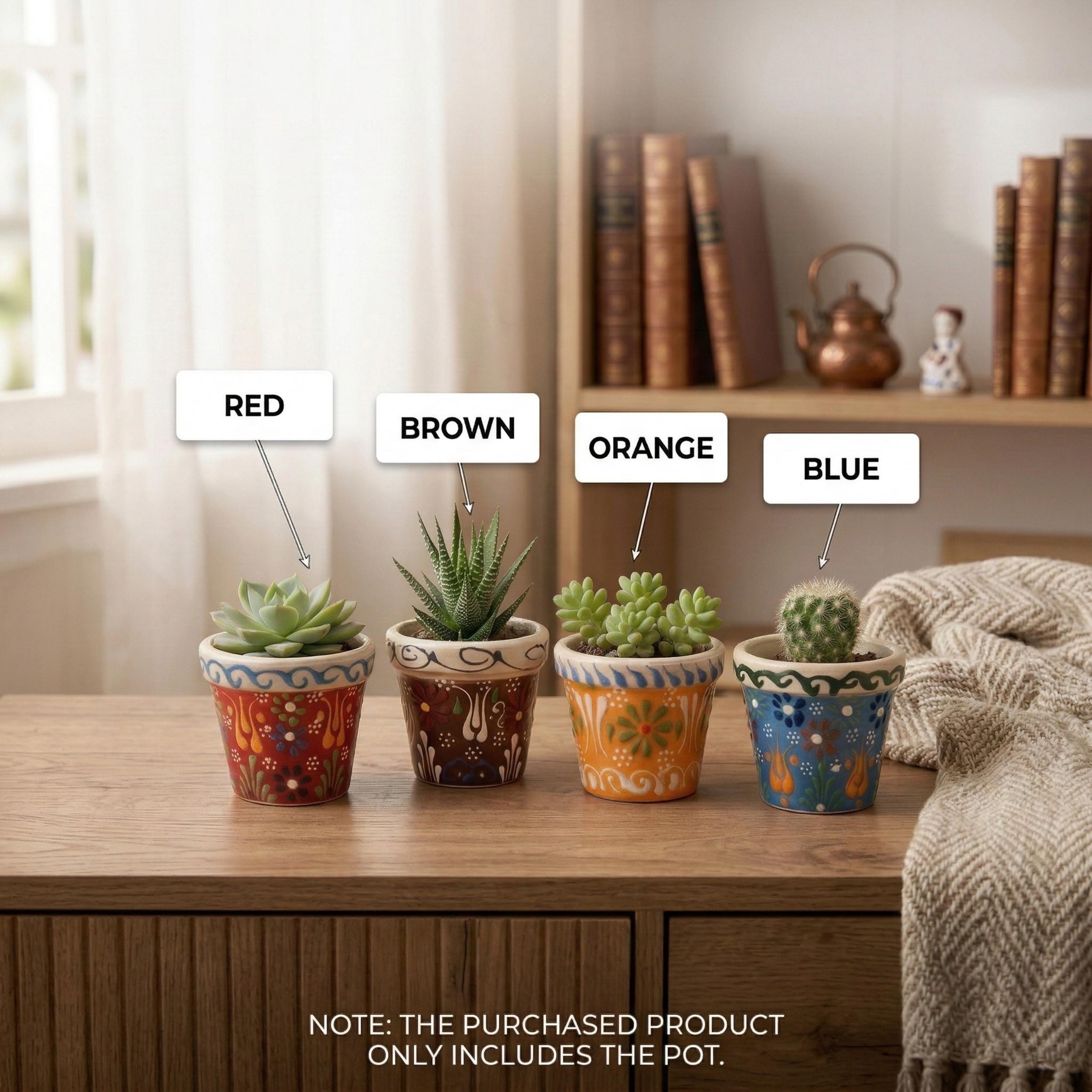 Hand-Painted Ceramic Succulent Pot - Small Pottery Planter - Indoor Cactus Holder - Floral Desk Decor